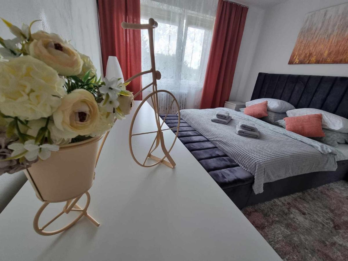Prostorny Byt V Centru U Reky, 2 Loznice, Balkon Hradec Králové エクステリア 写真