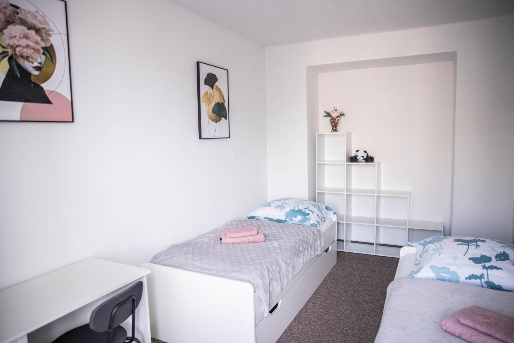 Prostorny Byt V Centru U Reky, 2 Loznice, Balkon Hradec Králové エクステリア 写真