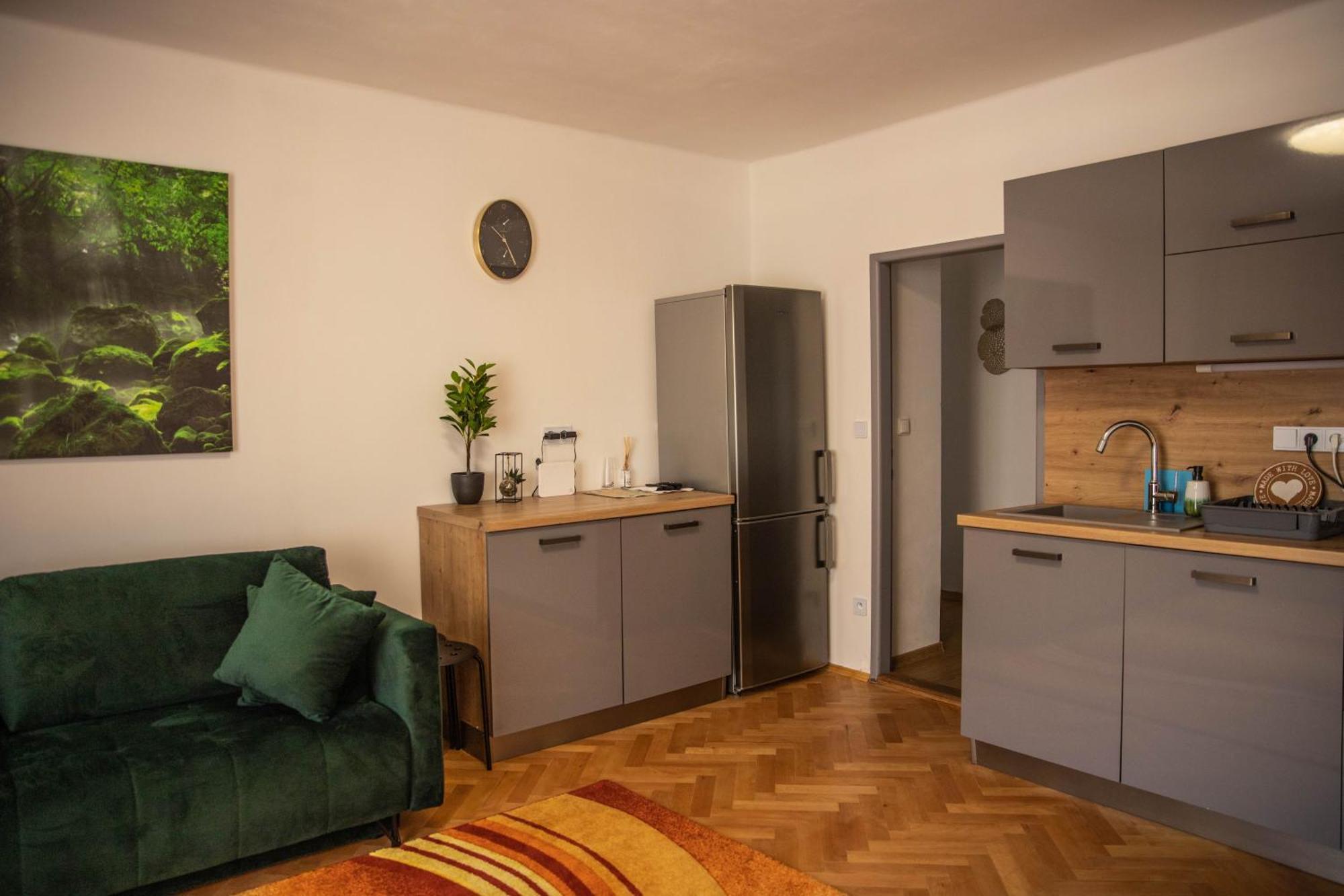 Prostorny Byt V Centru U Reky, 2 Loznice, Balkon Hradec Králové エクステリア 写真